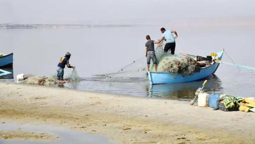 محافظ الفيوم: الدولة بذلت جهودا كبيرة لإنعاش الصيد في بحيرة قارون
                                     | يلا شوت