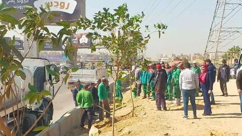 محافظ القاهرة: بدء المرحلة الأولى لتشجير الطريق الدائري من المقطم إلى الجيزة
                                     | يلا شوت